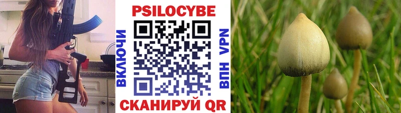 Купить закладки  Полысаево  Галлюциногенные грибы мухоморы 