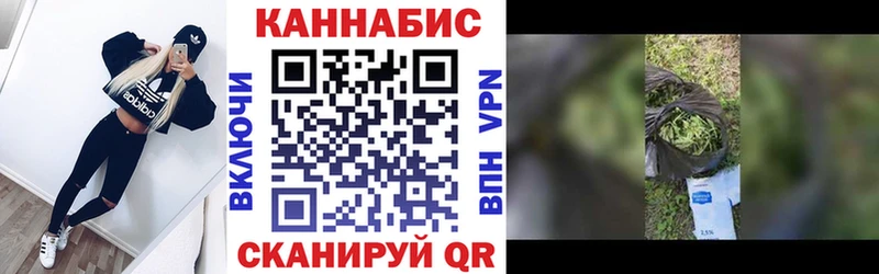 Каннабис сатива  Купить где  Полысаево 